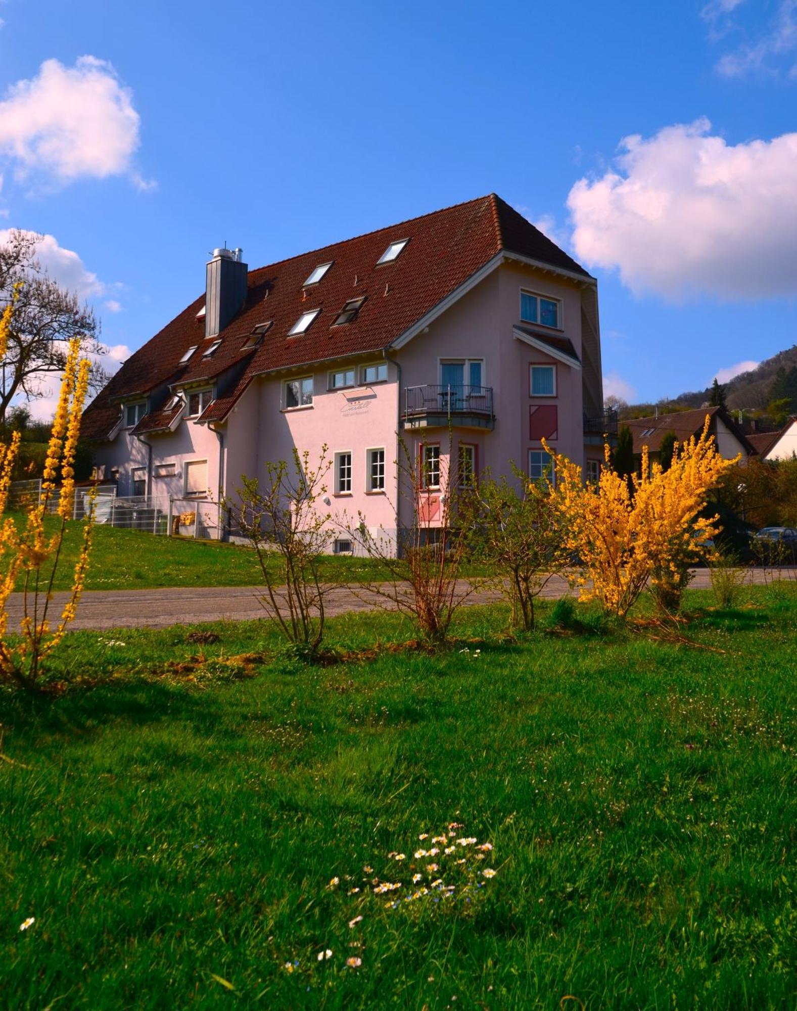 Castell Hotel & Restaurant Leinsweiler Extérieur photo